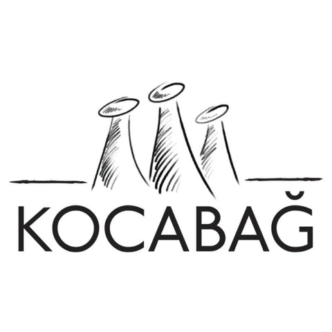 Kocabag